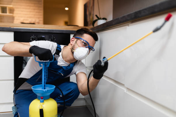 Best Pest Prevention Services  in Hammond, IN
