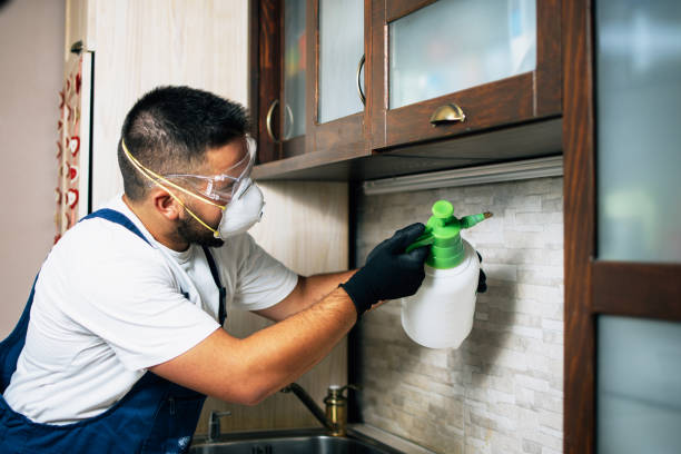 Best Mosquito Control Services  in Hammond, IN