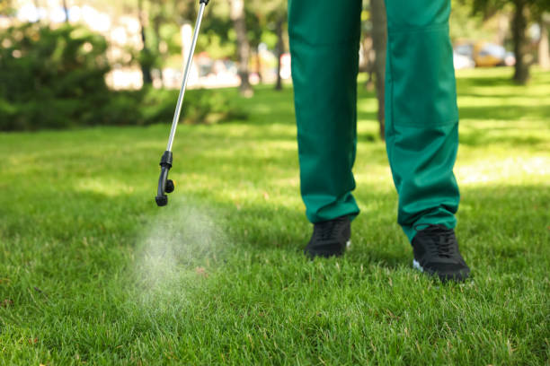 Best Flea Control Services  in Hammond, IN