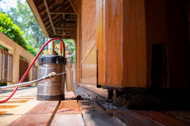 Best Exterminator Services  in Hammond, IN