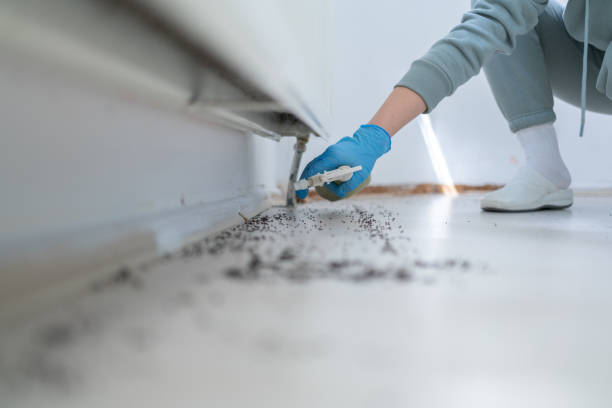 Pest Control for Restaurants in Hammond, IN